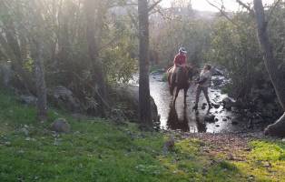 Baedro a Caballo