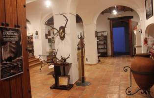 Museo de Marcos Redondo (Casa de la Viga)