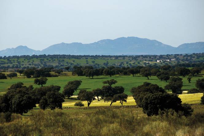 Ruta de las siete villas