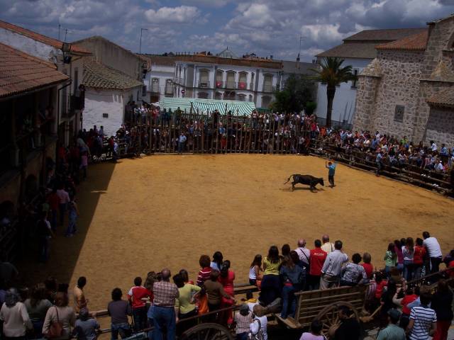 Tradicional Vaca de San Isidro