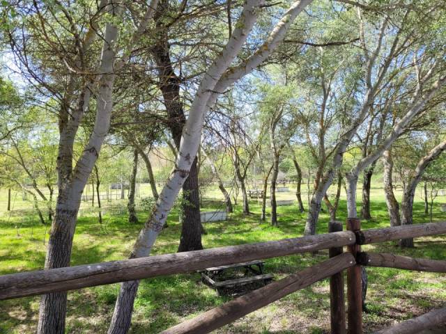Paraje el Soto