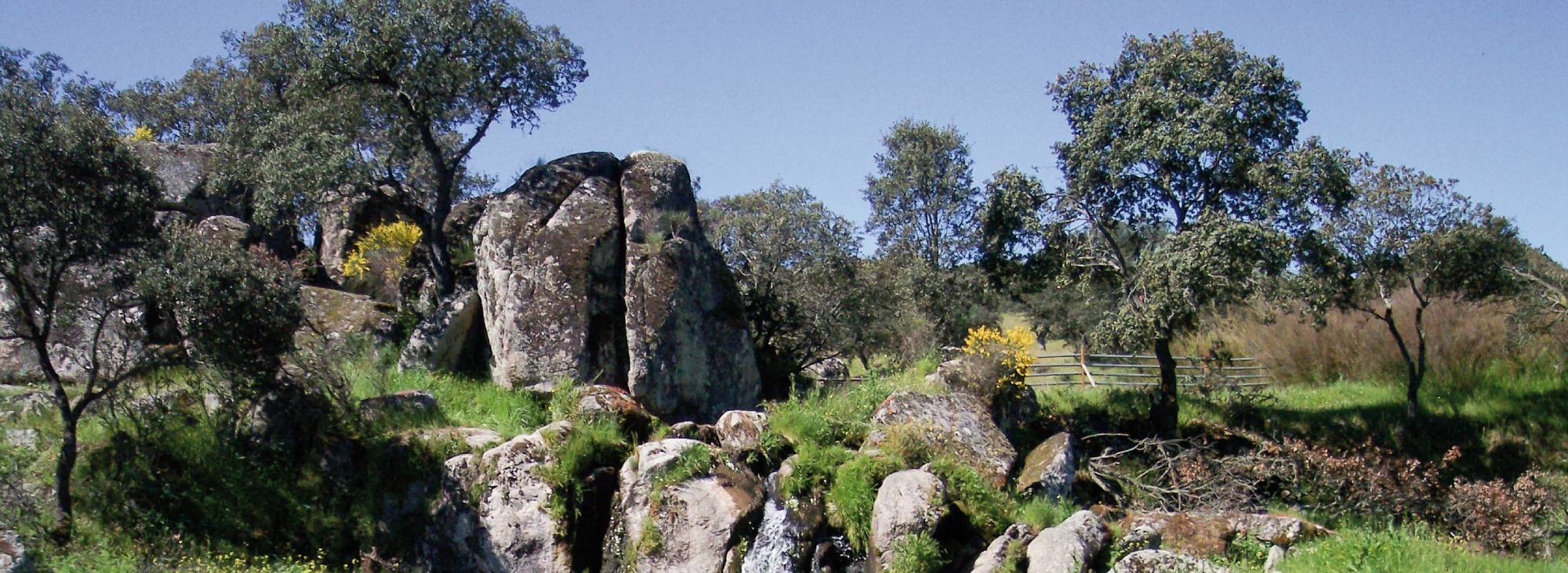 Paisaje naturaleza en los Pedroches